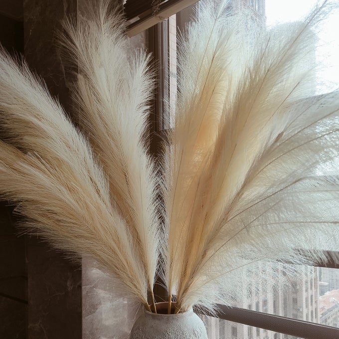 FAUX BEIGE PAMPAS GRASS DECOR TALL 8PCS 433 LARGE POMPAS FLORAL FLUFFY ARTIFICIAL FAKE FEATHER FLOWERS FOR BOHO WEDDING DECOR18 BRANCHES EACH STEM LARGE LONG