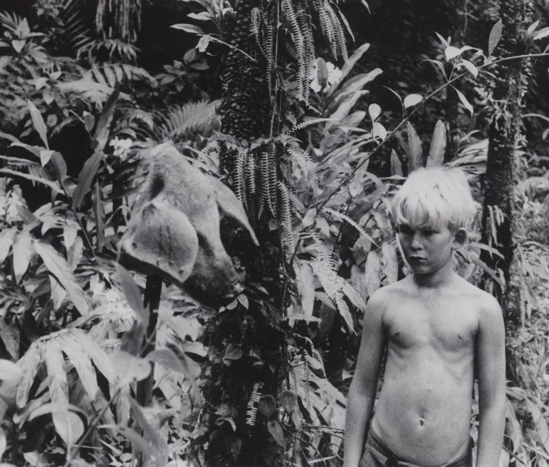 The Criterion Collection Lord of the Flies (The Criterion Collection) [Blu-ray] - Image 4
