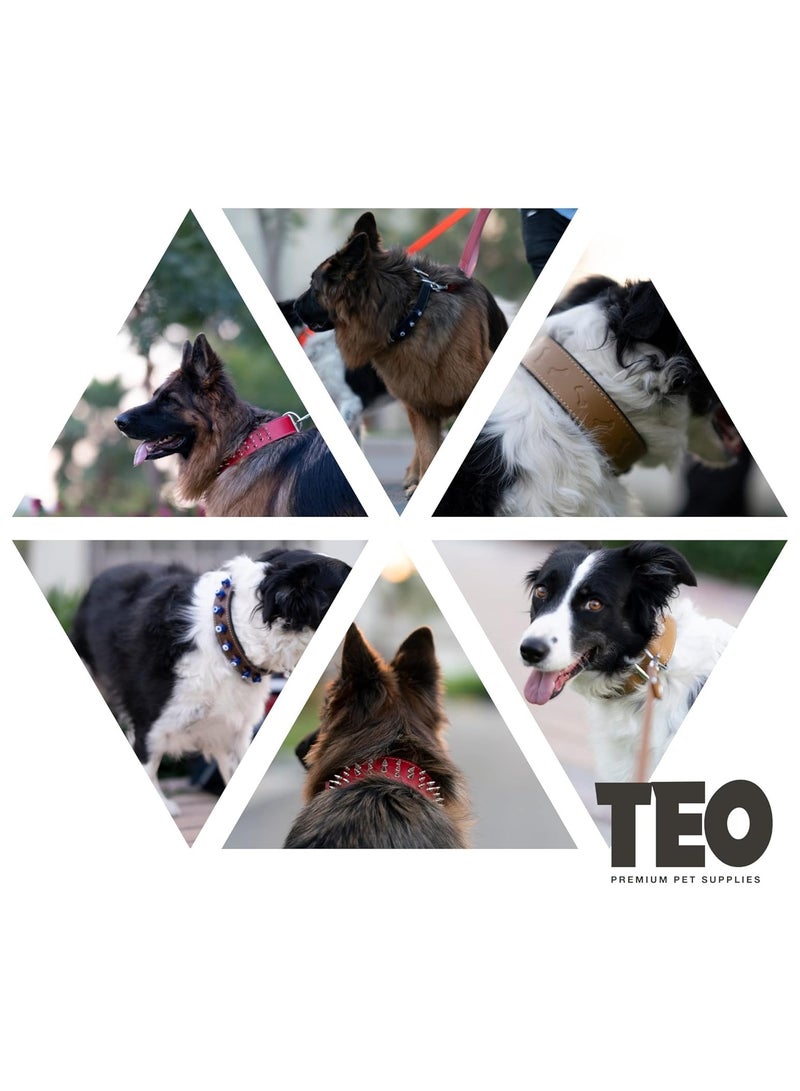Teo Premium Pet Supplies XS+ Leather Dog Neck Collar Adjustable Durable Pet Collars for Dogs With Breathable Heavy Duty Rust-Proof Dog Accessories Metal Buckle Camel - Image 5