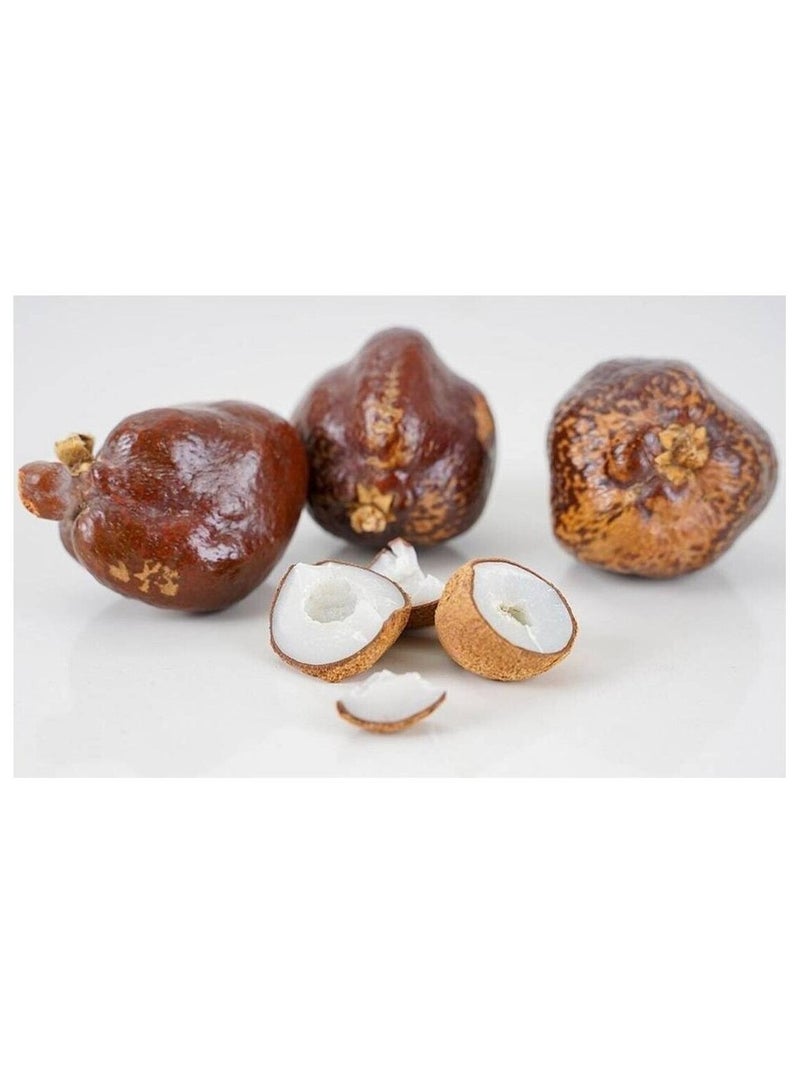 النبي بوتي  ٥٠٠جرام - Image 2