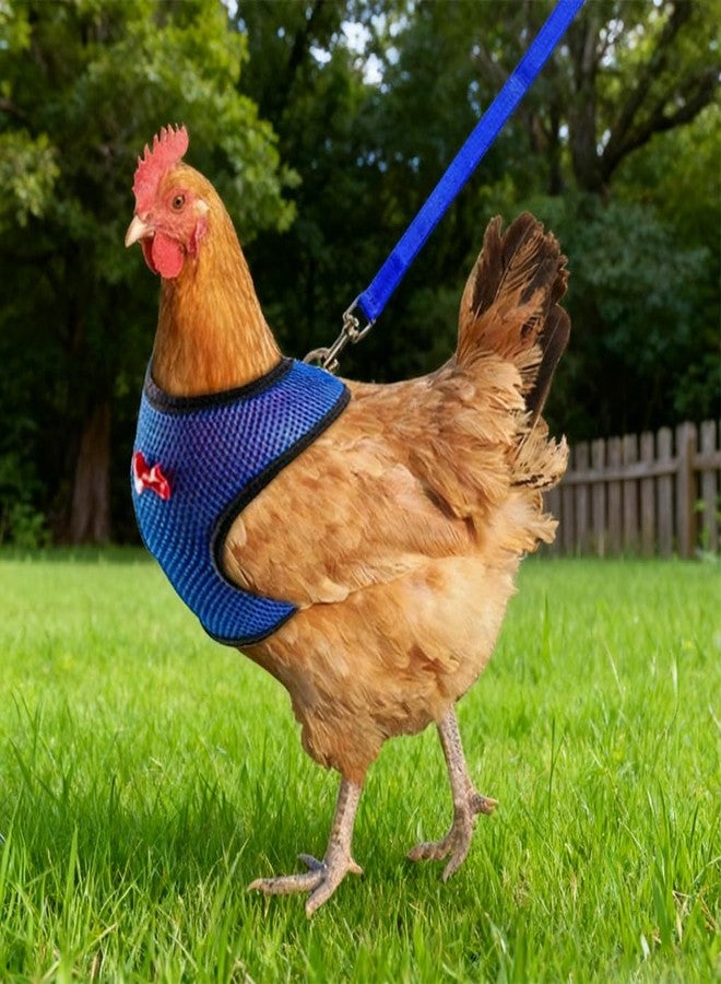 WeimoMonkey Chicken Harness and Leash Set Adjustable Mesh Breathable Duck Training Harness Pets Leashs for Goose Hen Rooster Parrots Dog Kitten, Pink M - Image 2