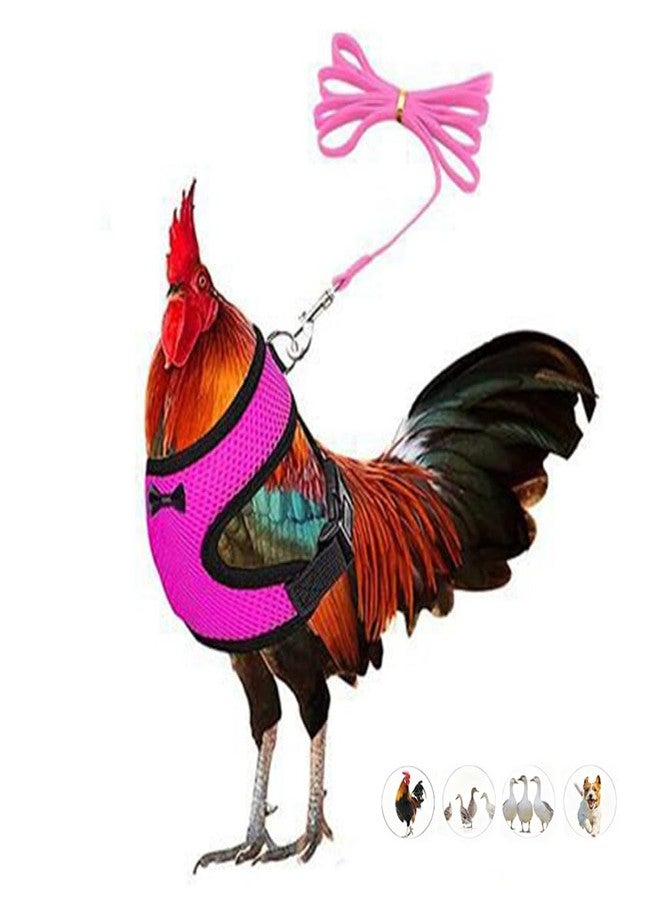 WeimoMonkey Chicken Harness and Leash Set Adjustable Mesh Breathable Duck Training Harness Pets Leashs for Goose Hen Rooster Parrots Dog Kitten, Pink M - Image 1