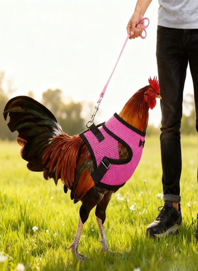 WeimoMonkey Chicken Harness and Leash Set Adjustable Mesh Breathable Duck Training Harness Pets Leashs for Goose Hen Rooster Parrots Dog Kitten, Pink M - Image 3
