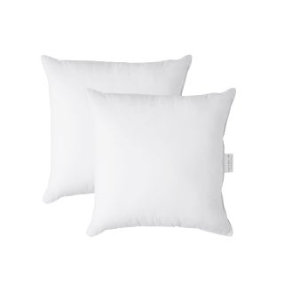 LANE LINEN Throw Pillow Insert  Pack of 2 16x16 Pillow Inserts for Decorative Pillow Covers Throw Pillows Insert for Couch  White - pzsku/ZA800CEC9E0009BB91215Z/45/1749490244/25c26e0c-e75a-4c0b-b3f9-cdf9aedbd94e