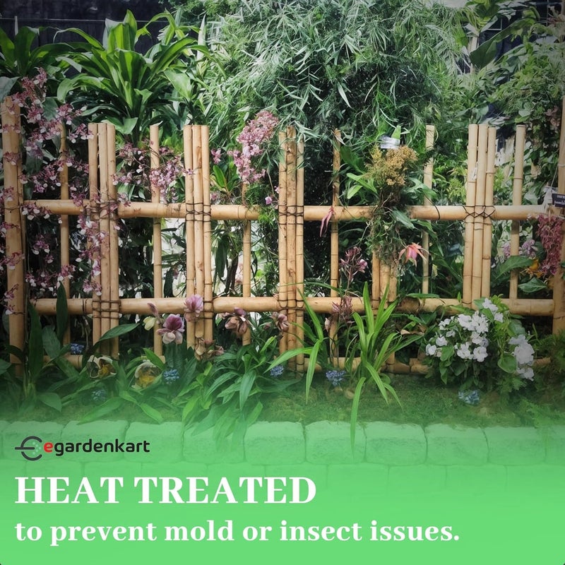 Egardenkart إي غاردن كارت، عصي الخيزران للنباتات - 150 سم، 8 قطع | دعامات نباتية | 24-16 مم، عمود دعم نباتي | عصا نباتية متينة للزهور، الخضروات، والزواحف | عصي حديقة (8 قطع، 150 سم) - Image 5