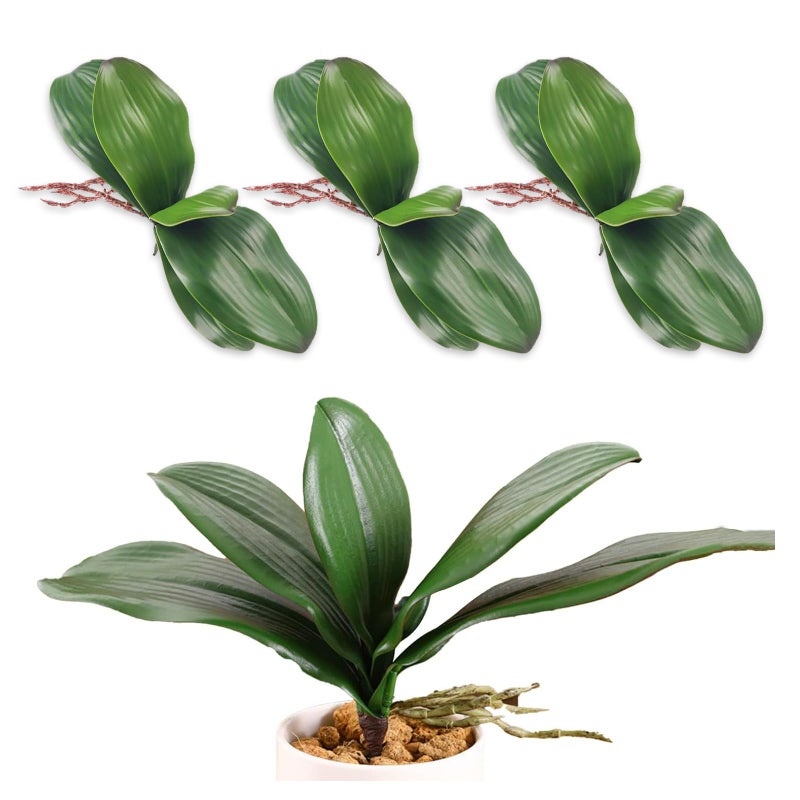 YAFIYGI يَافِي يَجِي 3 عبوات أوراق الأوركيد الاصطناعية لمسة حقيقية سيبالينوبسيس سيقان زهور فاوكس سيمبيديوم أوراق نباتية واقعية خضراء 8 إنش لتزيين المنزل والفعاليات