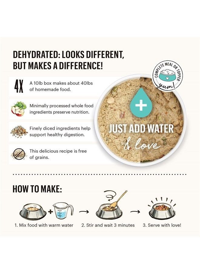 the honest kitchen Human Grade Dehydrated Grain Free Dog Food – Complete Meal or Dog Food Topper – Beef 10 lb (makes 40 lbs) 