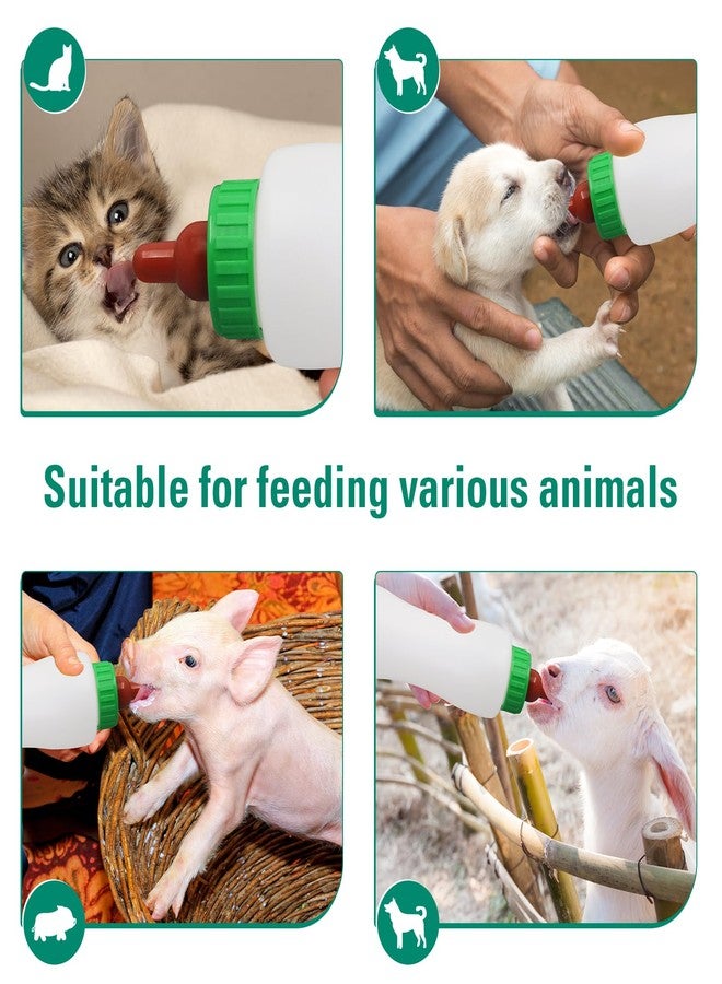 Abustle Pig Lamb & Goat Feeding Bottle, 500ml, 2 Pack, Reusable, BPA Free, Plastic & Rubber, Medium Flow, Animal Care, All Ages - Image 4