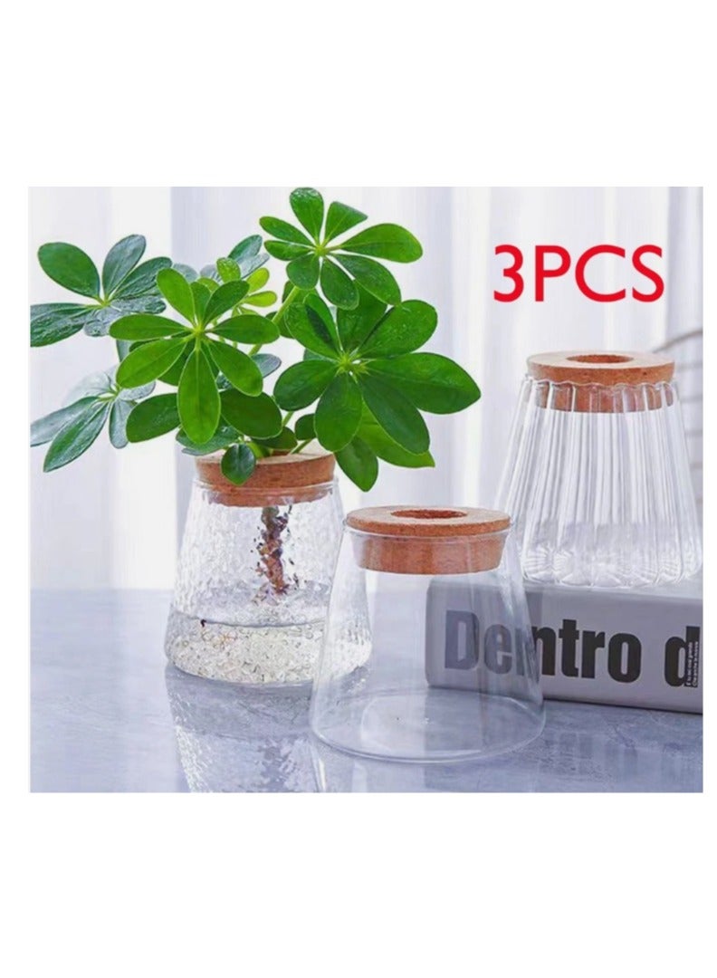 الواحة-TH مجموعة من 3 قطع من محطة إكثار النباتات المائية، حاويات زجاجية، مزهريات، أوعية ديكورية - Image 1