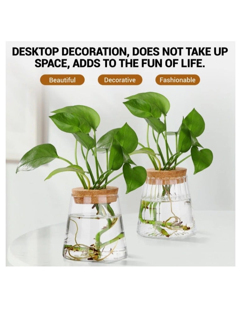 الواحة-TH مجموعة من 3 قطع من محطة إكثار النباتات المائية، حاويات زجاجية، مزهريات، أوعية ديكورية - Image 2