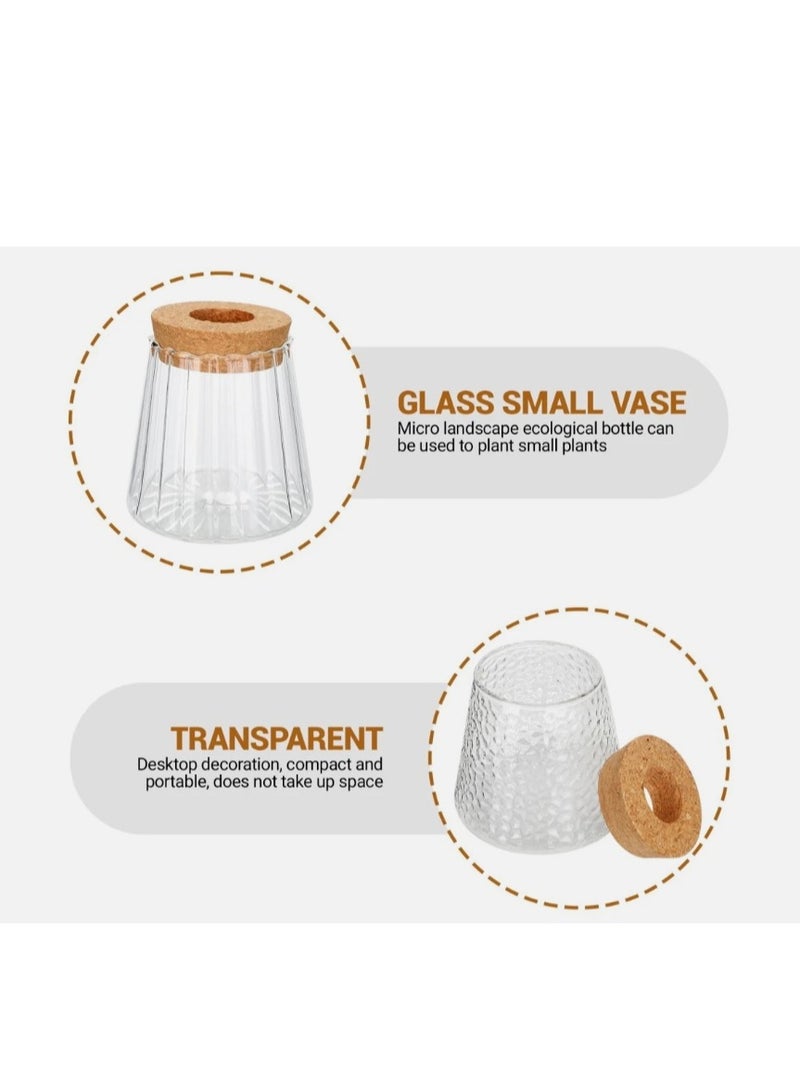 الواحة-TH مجموعة من 3 قطع من محطة إكثار النباتات المائية، حاويات زجاجية، مزهريات، أوعية ديكورية - Image 5