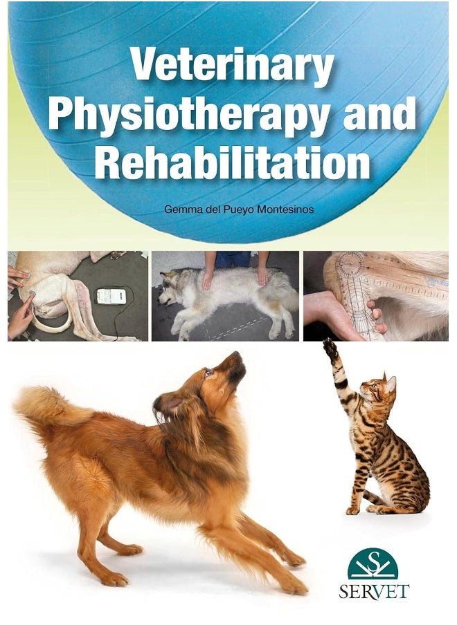 Veterinary physiotherapy and rehabilitation  - Image 1