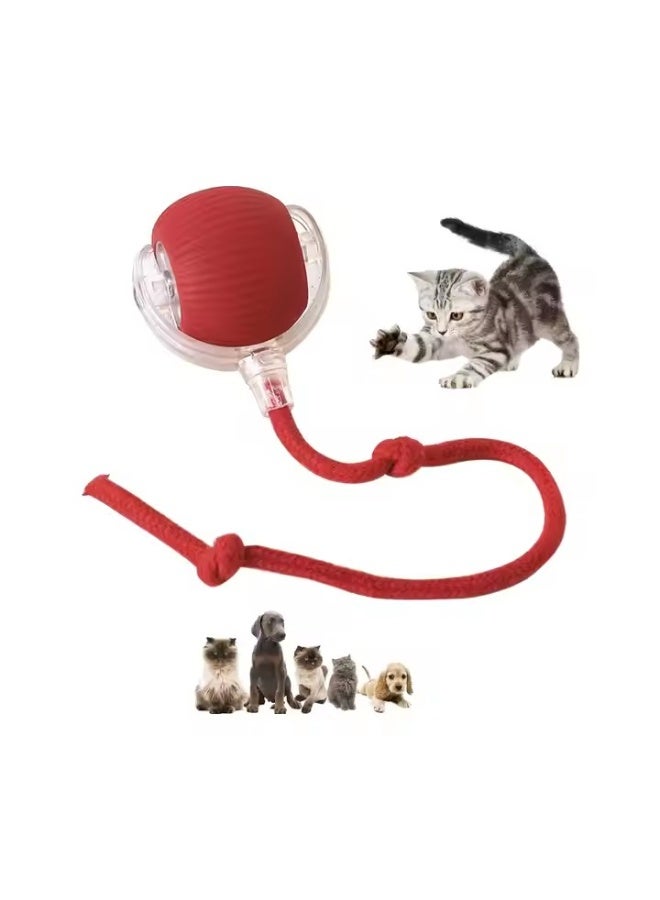 Interactive Rolling Cat Toys Ball, Interactive Rolling Dog Ball, Motion Activate Rolling Pet Toys, Automatic Self Moving Dog/Cat for Indoor Cats Toys Fast Rolling on Carpet - Image 2