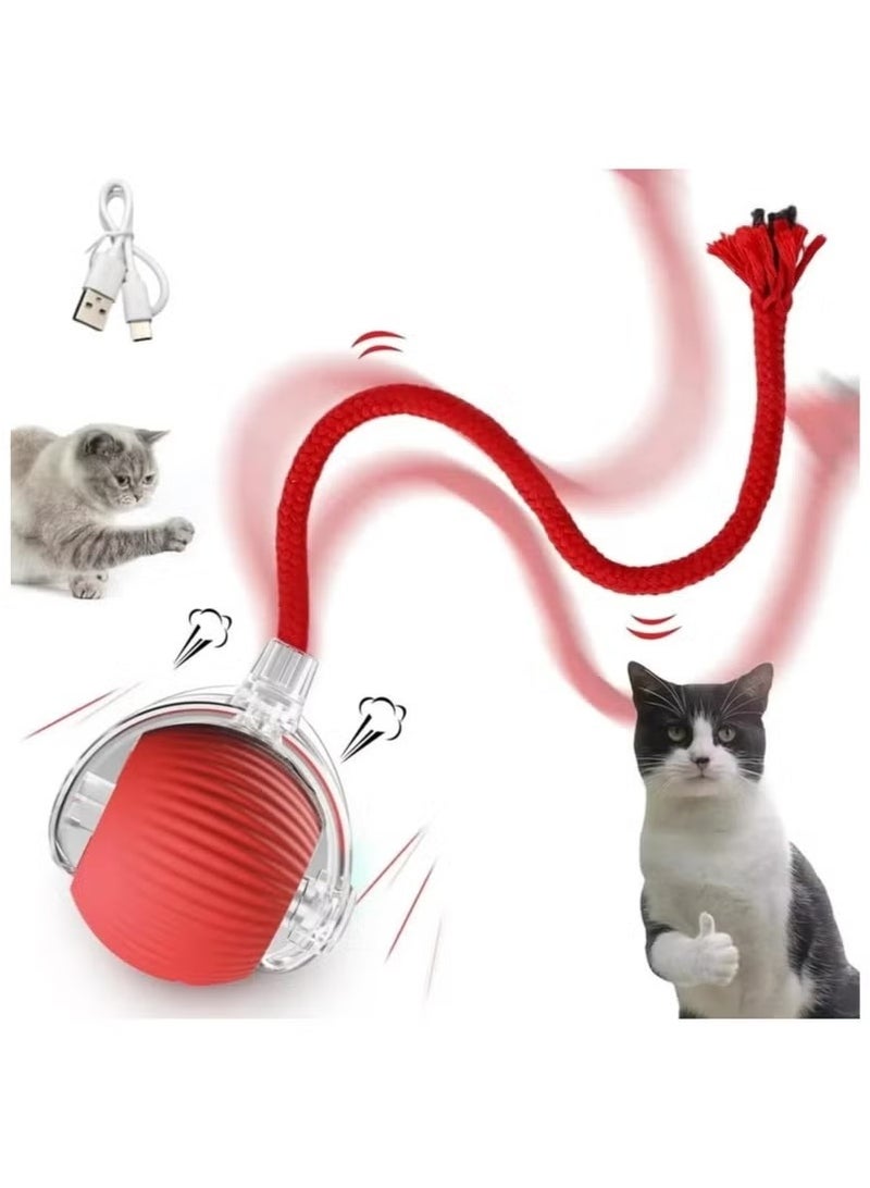 Interactive Rolling Cat Toys Ball, Interactive Rolling Dog Ball, Motion Activate Rolling Pet Toys, Automatic Self Moving Dog/Cat for Indoor Cats Toys Fast Rolling on Carpet - Image 1