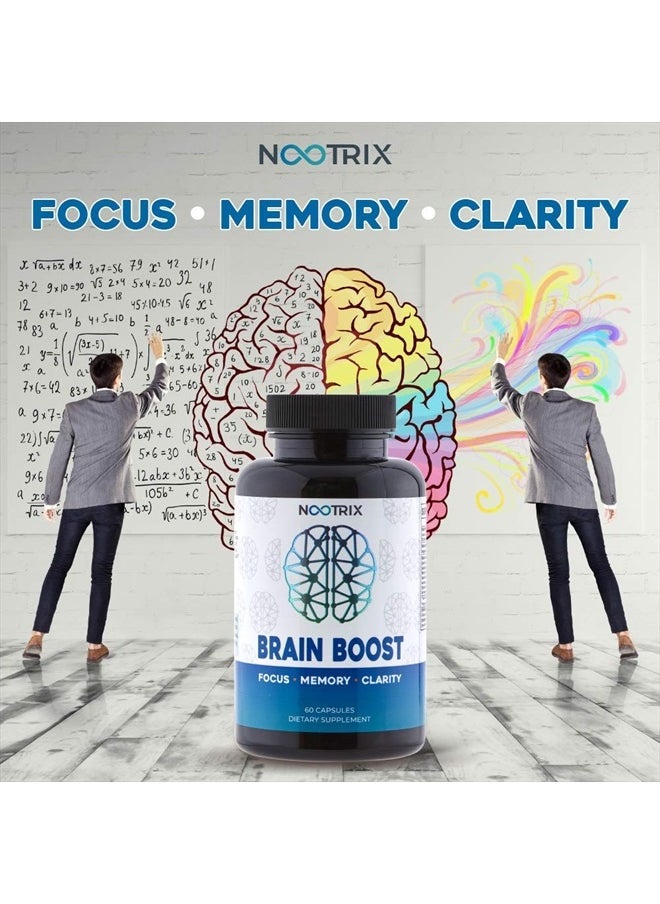 Nootrix - Brain Boost - Premium Nootropic Supplement - Improves Cognitive Function & Memory, Enhances Focus, Boosts Concentration & Provides Clarity with Ginkgo Biloba (60 Count (Pack of 1)) - Image 1