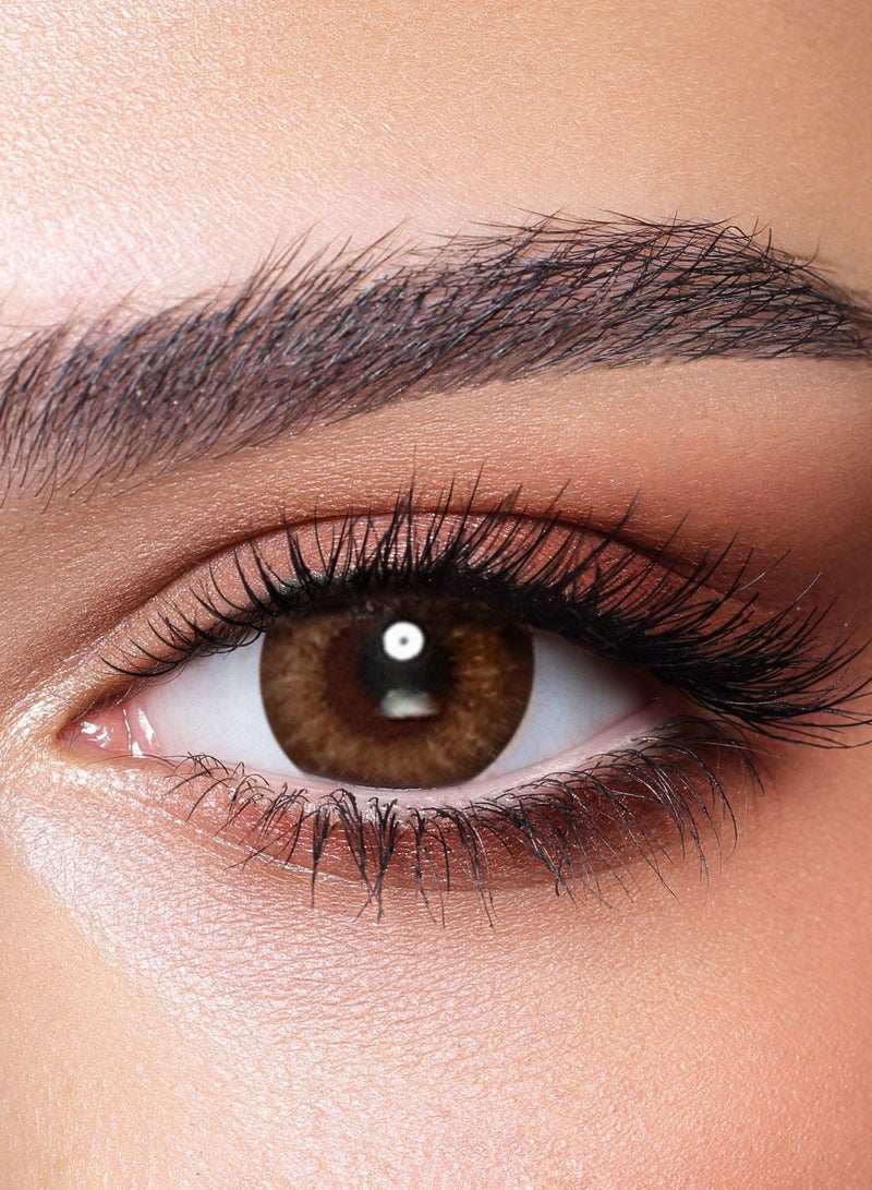 Bella Almond Brown Oneday Color Contact Lenses - 10 Lenses - Image 1
