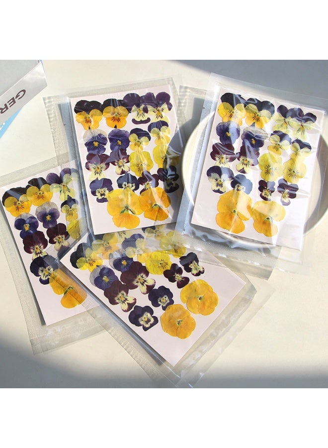 54 Pcs Dried Pressed Flowers for Resin DIY Art Crafts Natural Dry Floral Epoxy Jewelry Real Flower Decor Cakes Phone Cases Candles Handmade Soap Purple Pansy - Image 2