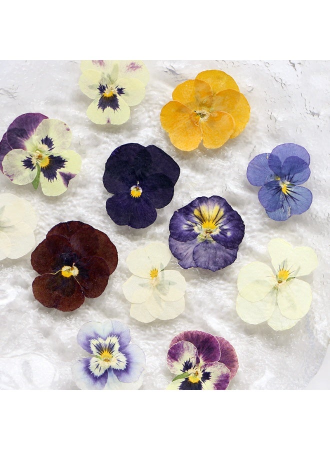 54 Pcs Dried Pressed Flowers for Resin DIY Art Crafts Natural Dry Floral Epoxy Jewelry Real Flower Decor Cakes Phone Cases Candles Handmade Soap Purple Pansy - Image 4