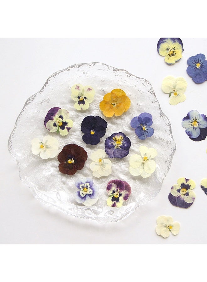 54 Pcs Dried Pressed Flowers for Resin DIY Art Crafts Natural Dry Floral Epoxy Jewelry Real Flower Decor Cakes Phone Cases Candles Handmade Soap Purple Pansy - Image 3