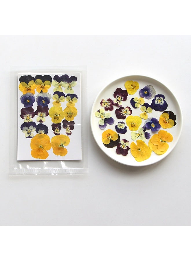 54 Pcs Dried Pressed Flowers for Resin DIY Art Crafts Natural Dry Floral Epoxy Jewelry Real Flower Decor Cakes Phone Cases Candles Handmade Soap Purple Pansy - Image 5