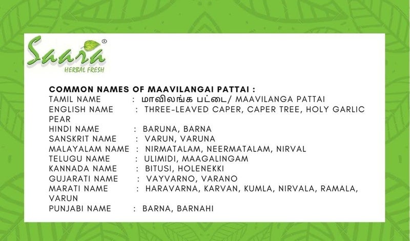 Saara HERBAL FRESH Mavilanga Pattai Powder401gram Mavilanga PattaiMaavilanga PattaiVarun ChhalBarna Crataeva Nurvala BarkCaper Tree Bark Powder 401g Pack 101g x 4 - Image 5