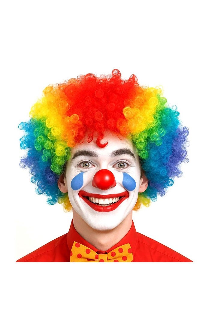 Funny Clown Curly Afro Wigs, Rainbow Costume Wig for Themed Parties and Halloween Colorful Clown Wig ( Multicolor) - Image 2