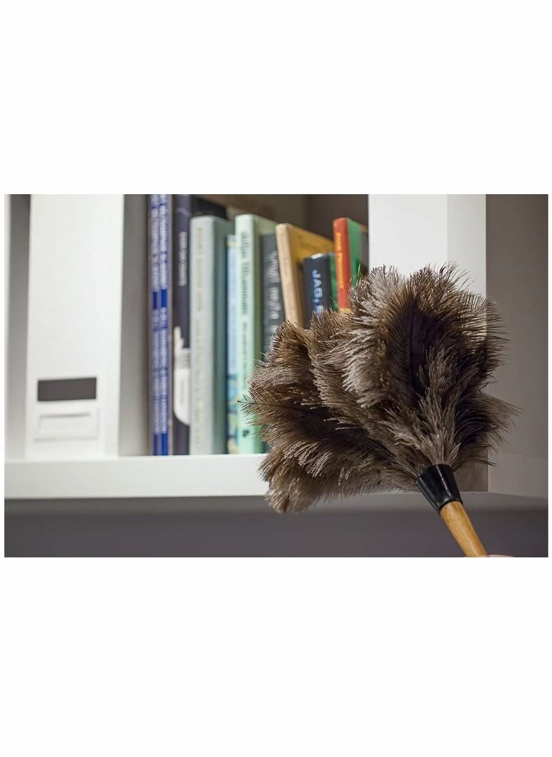 Feather Duster, Dust Duster for Home Cleaning, Soft Feather Moping and Car Dusting, Eco-Friendly Genuine Ostrich Dusters Easy to Clean Reuse, Smart and Soft and Fluffy Duster (2 Pcs)