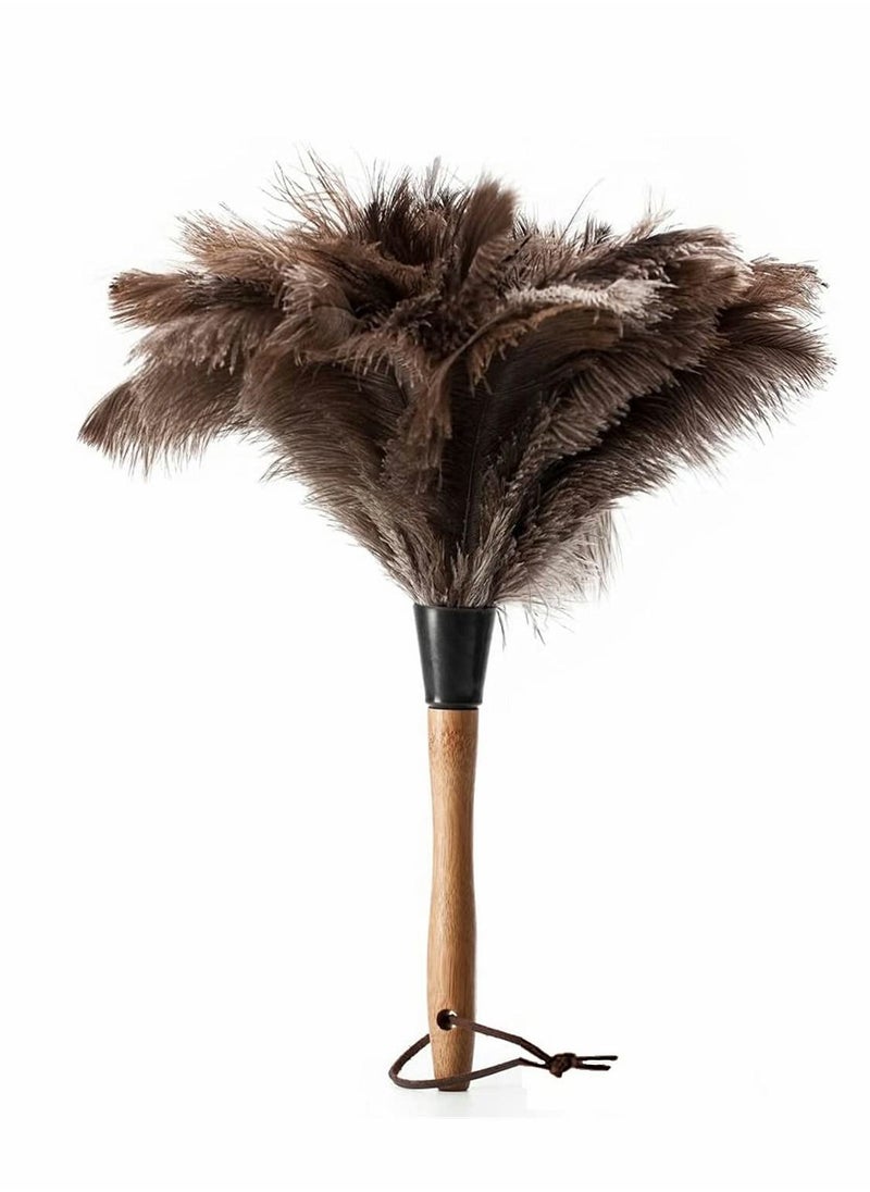 Feather Duster, Dust Duster for Home Cleaning, Soft Feather Moping and Car Dusting, Eco-Friendly Genuine Ostrich Dusters Easy to Clean Reuse, Smart and Soft and Fluffy Duster (2 Pcs)