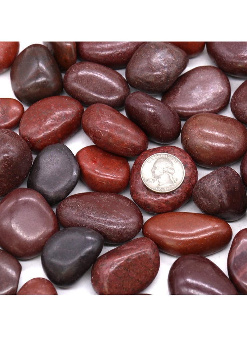 ڤسيل24 صخور نهر حمراء كبيرة جدًا مقاس 5-8 سم للنباتات والمناظر الطبيعية وخزان الأسماك النضرة ومزهرية تررم الحصى والحصى الحمراء الطبيعية وأحجار الديكور الداخلية والخارجية - Image 1