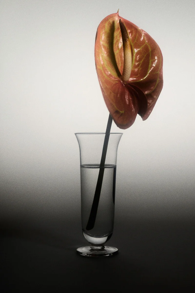 H&M 2-pack mini glass vases