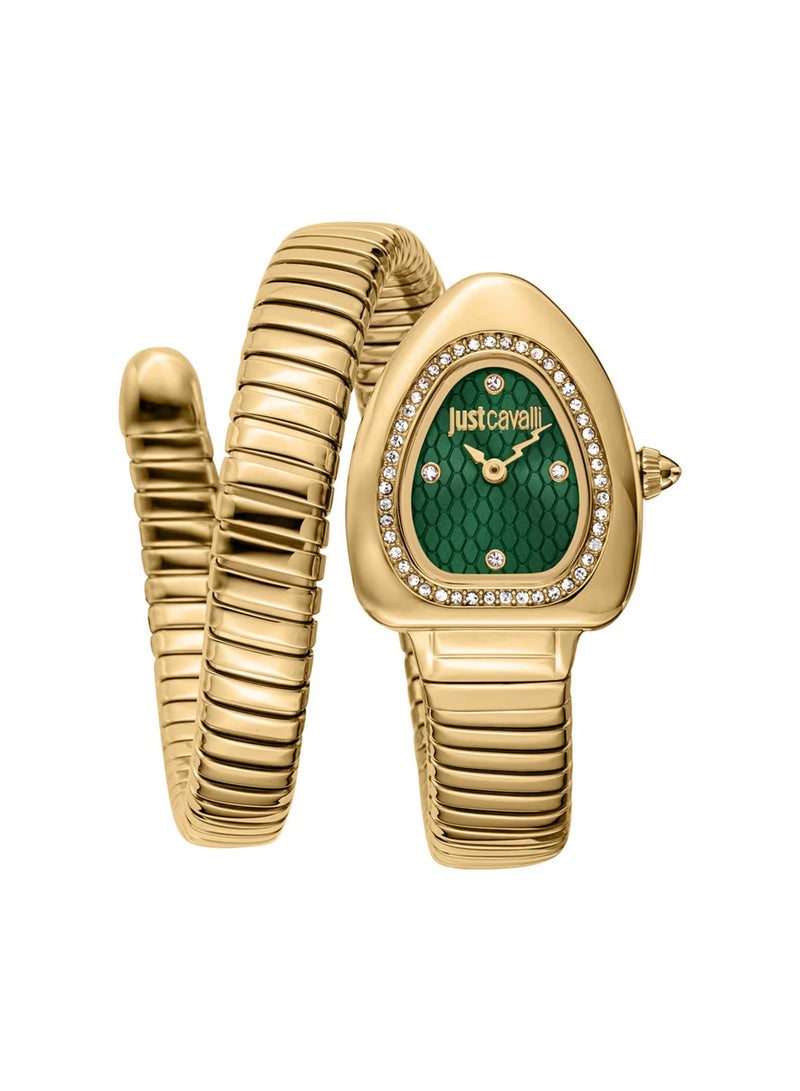 Just Cavalli Women Analog Quartz Stainless Steel Green Dial Watch JC1L249M0035 - Image 1