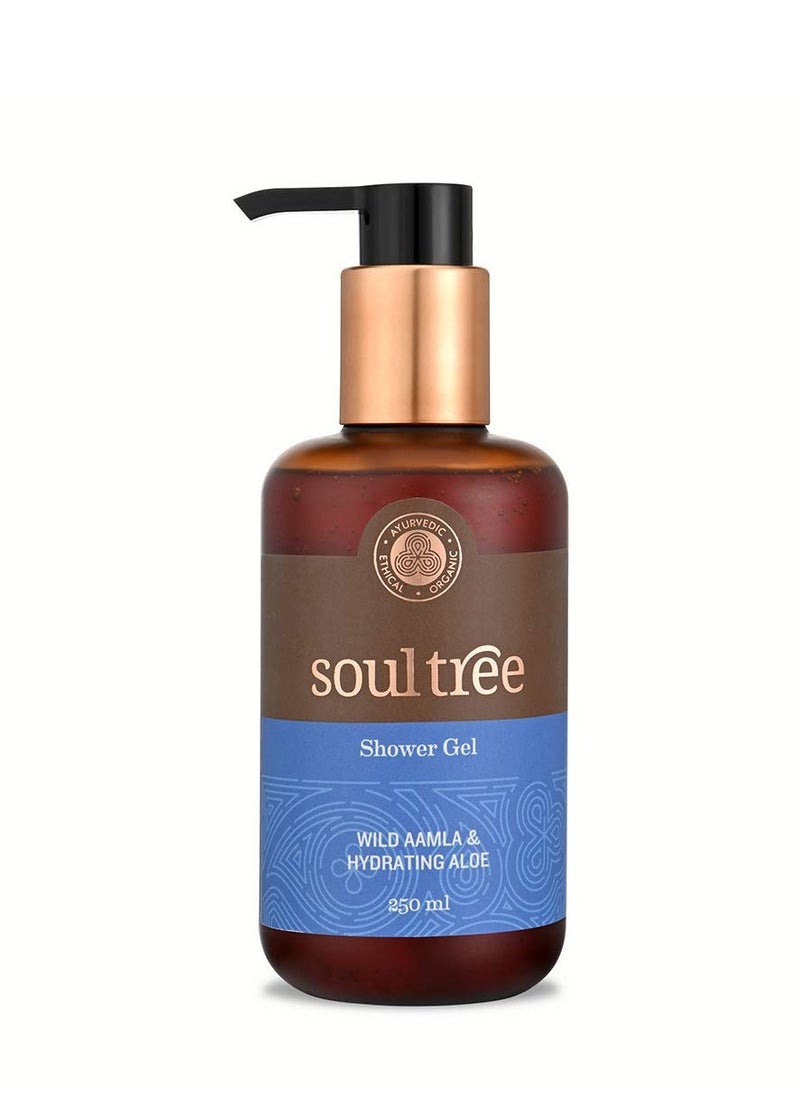 SOULTREE - SoulTree Wild Aamla Hydrating Aloe Shower Gel 250ml - Image 1