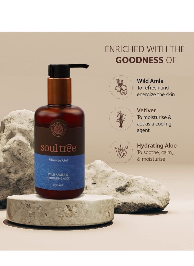 SOULTREE - SoulTree Wild Aamla Hydrating Aloe Shower Gel 250ml - Image 1