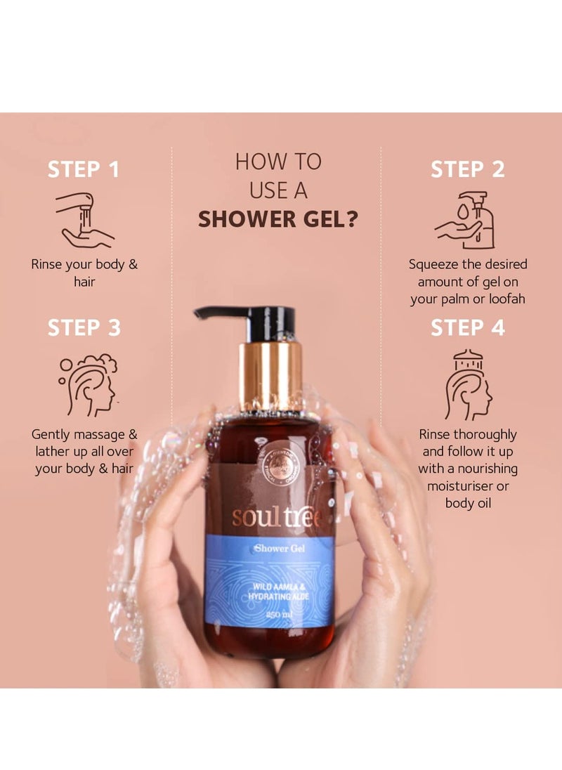 SOULTREE - SoulTree Wild Aamla Hydrating Aloe Shower Gel 250ml - Image 1