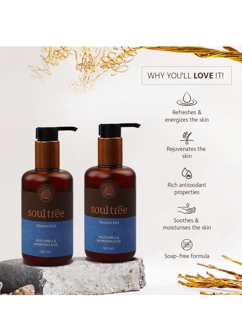 SOULTREE - SoulTree Wild Aamla Hydrating Aloe Shower Gel 250ml - Image 1