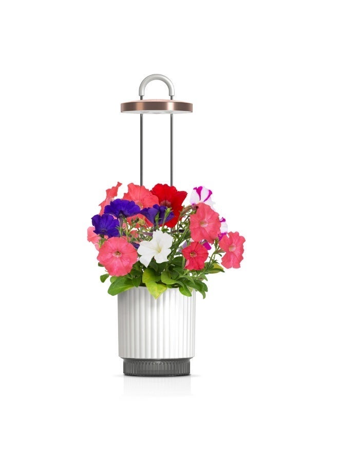 Ermonix HydroVase Indoor Hydroponics Growing System Smart Gardening Solution Self Watering Vase with Grow Light Automatic Timer Ideal Gift for Home and Office - Image 3