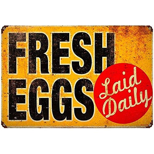 MegaDeal Fresh Eggs Laid Daily Metal Art Sign for Chicken Coop Hen Coop Kitchen Cottage Farm Decor 20cm x 30cm - Image 3