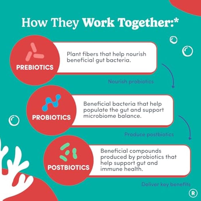 FIRST DAY Toddler Tribiotic Gummies (Ages 2-3) | Kids Probiotic Gummies | 3 in 1 Pre + Pro + Postbiotics for Kids Digestive & Immune Health - Kiwi, 60 Counts (30 Days Supply) - Image 4