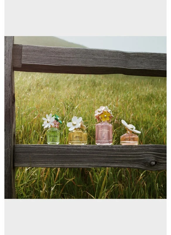 Marc Jacobs Daisy Wild Eau So Intense Eau de Parfum 100ml