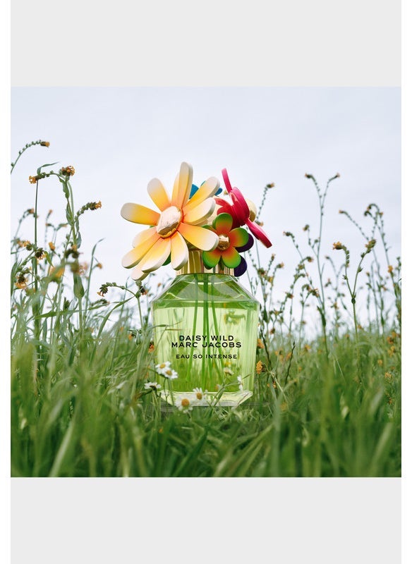 مارك جاكوبس ديزي وايلد أو سو إنتنس أو دو بارفان 100 مل - Image 4