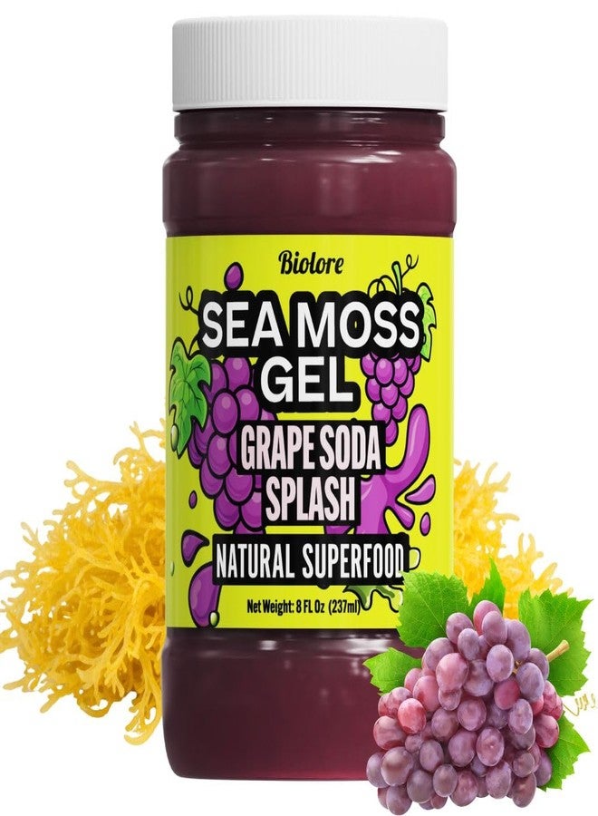 Biolore No Sugar Added Grape Splash Jam with Sea Moss, 8 oz — Vegan, Natural Electrolytes & Minerals, Apple Fruit Spread, Made in USA - Image 1