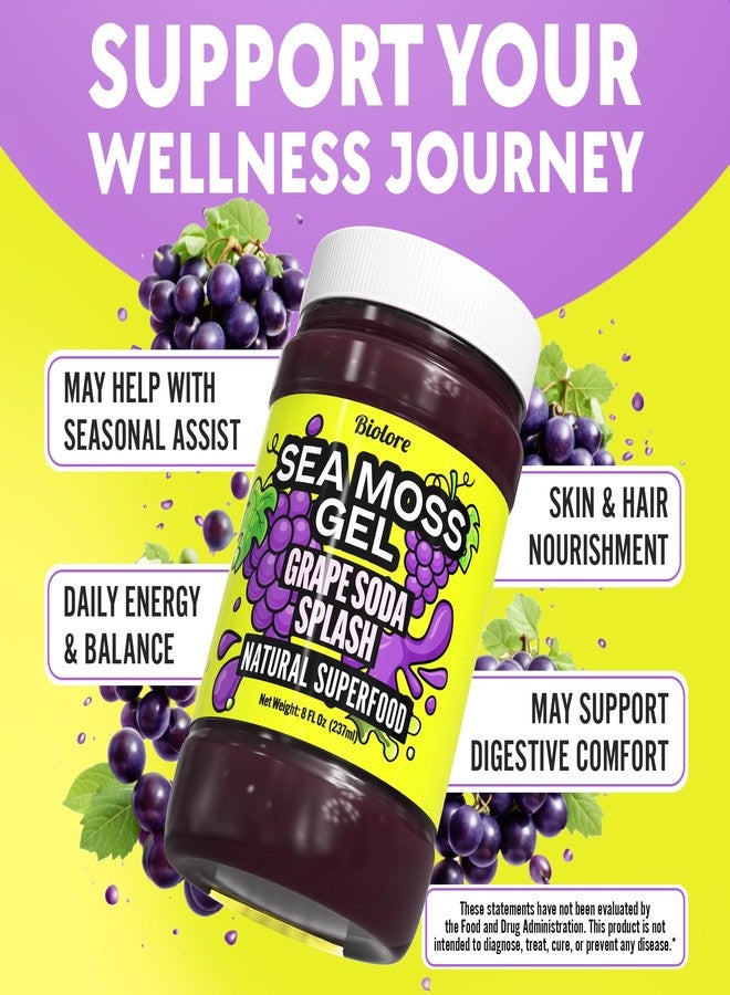 Biolore No Sugar Added Grape Splash Jam with Sea Moss, 8 oz — Vegan, Natural Electrolytes & Minerals, Apple Fruit Spread, Made in USA - Image 4