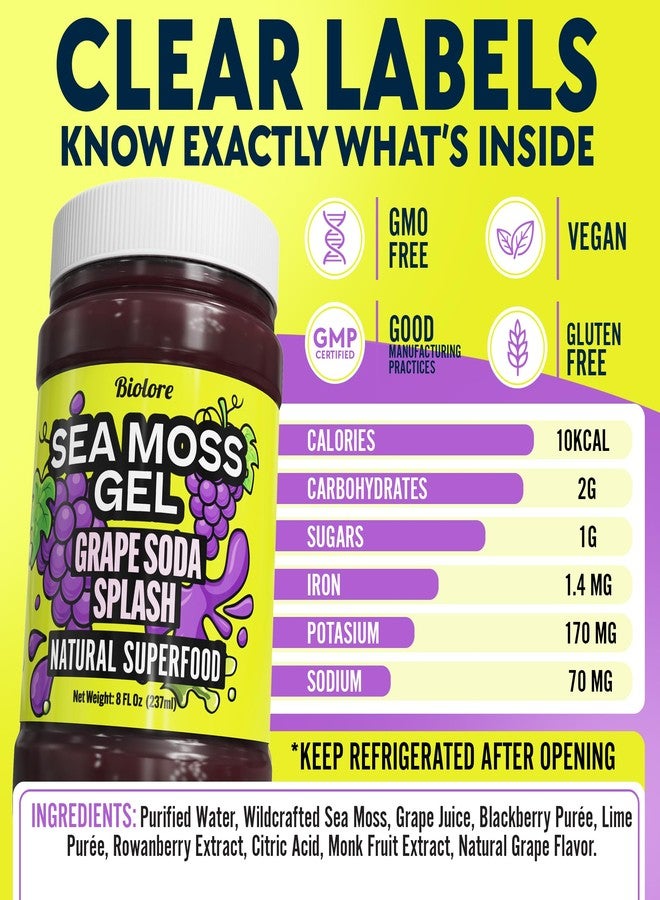 Biolore No Sugar Added Grape Splash Jam with Sea Moss, 8 oz — Vegan, Natural Electrolytes & Minerals, Apple Fruit Spread, Made in USA - Image 2