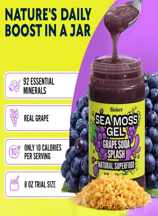 Biolore No Sugar Added Grape Splash Jam with Sea Moss, 8 oz — Vegan, Natural Electrolytes & Minerals, Apple Fruit Spread, Made in USA - Image 3