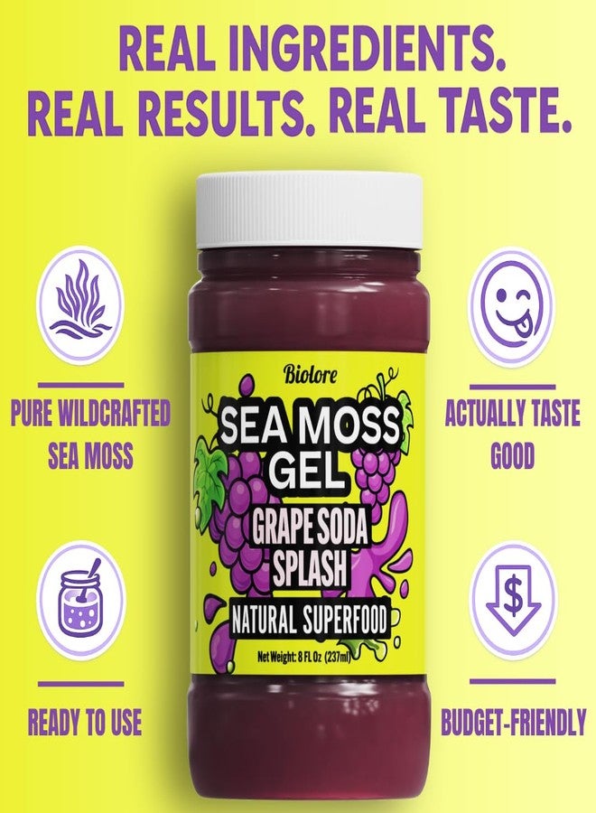 Biolore No Sugar Added Grape Splash Jam with Sea Moss, 8 oz — Vegan, Natural Electrolytes & Minerals, Apple Fruit Spread, Made in USA - Image 5