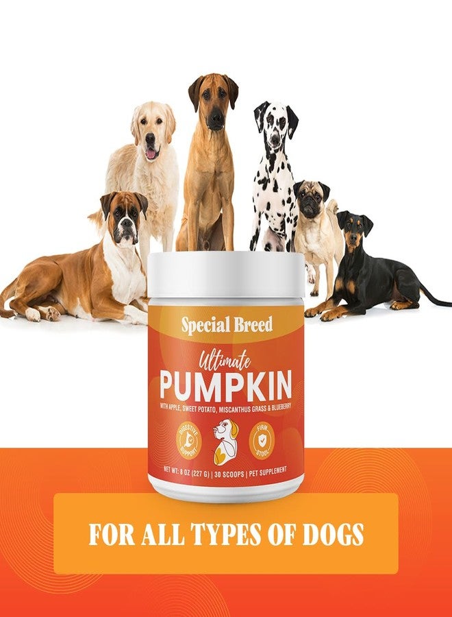 Special Breed Ultimate Pumpkin Powder for Dogs (8 oz) - with Organic Pumpkin, Apple, Sweet Potato, Miscanthus Grass & Blueberry, Digestive Relief for Constipation, Loose Stools, and Upset Stomaches, 30 Scoops - Image 5