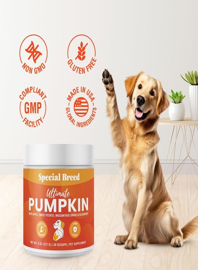 Special Breed Ultimate Pumpkin Powder for Dogs (8 oz) - with Organic Pumpkin, Apple, Sweet Potato, Miscanthus Grass & Blueberry, Digestive Relief for Constipation, Loose Stools, and Upset Stomaches, 30 Scoops - Image 4