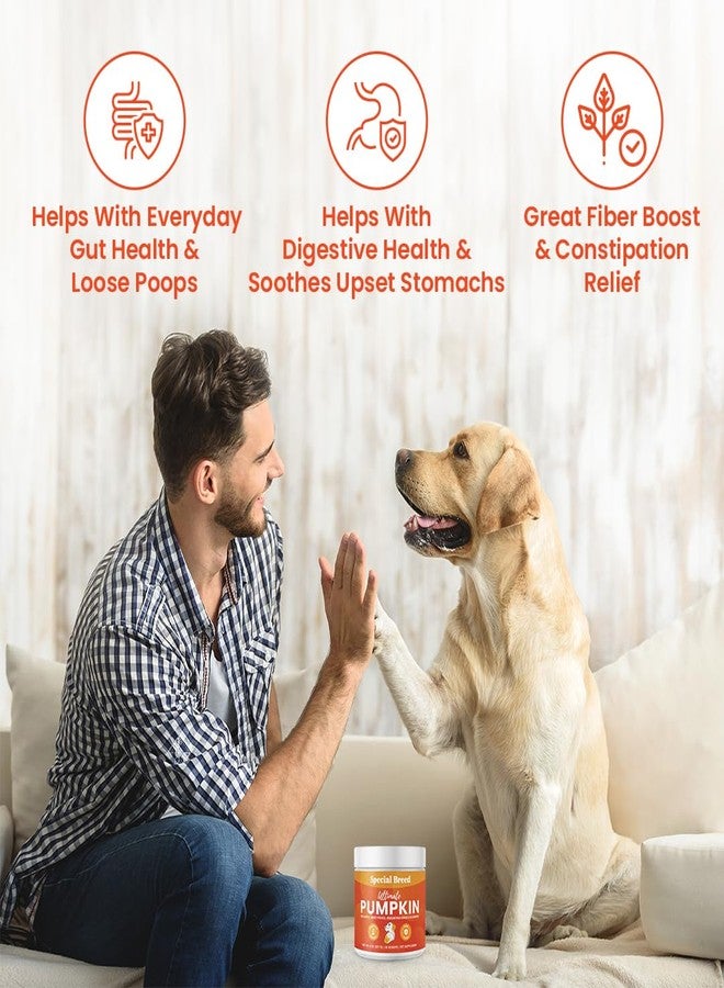 Special Breed Ultimate Pumpkin Powder for Dogs (8 oz) - with Organic Pumpkin, Apple, Sweet Potato, Miscanthus Grass & Blueberry, Digestive Relief for Constipation, Loose Stools, and Upset Stomaches, 30 Scoops - Image 3