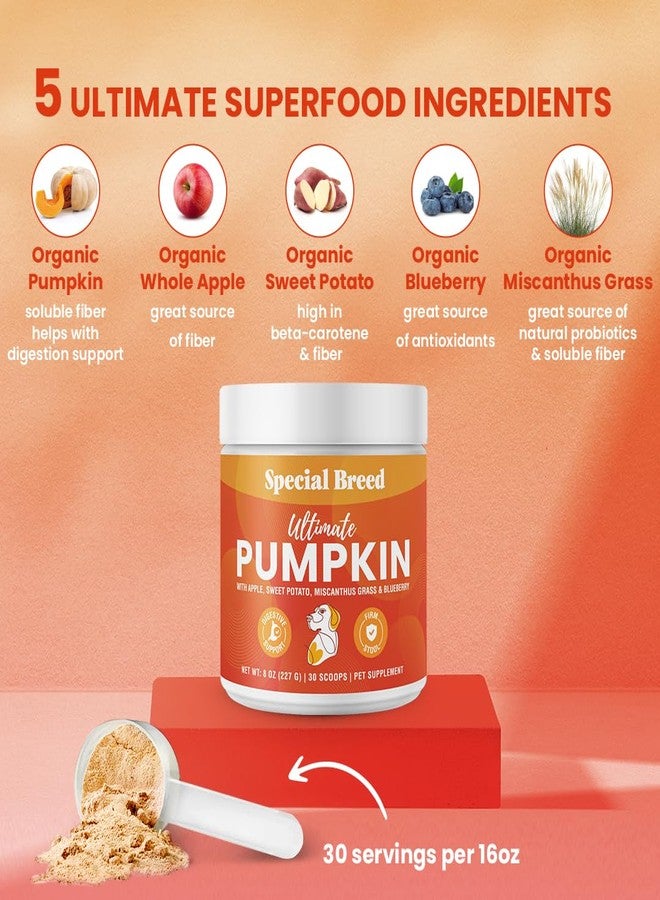 Special Breed Ultimate Pumpkin Powder for Dogs (8 oz) - with Organic Pumpkin, Apple, Sweet Potato, Miscanthus Grass & Blueberry, Digestive Relief for Constipation, Loose Stools, and Upset Stomaches, 30 Scoops - Image 2