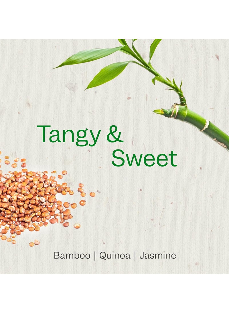 Bamboo & Quinoa Shampoo 24 Fl Oz